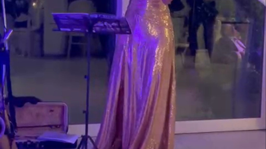 Wedding dinner show