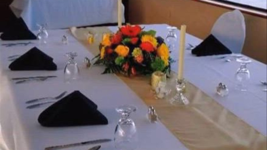 Celebration and Tropic Island Wedding video