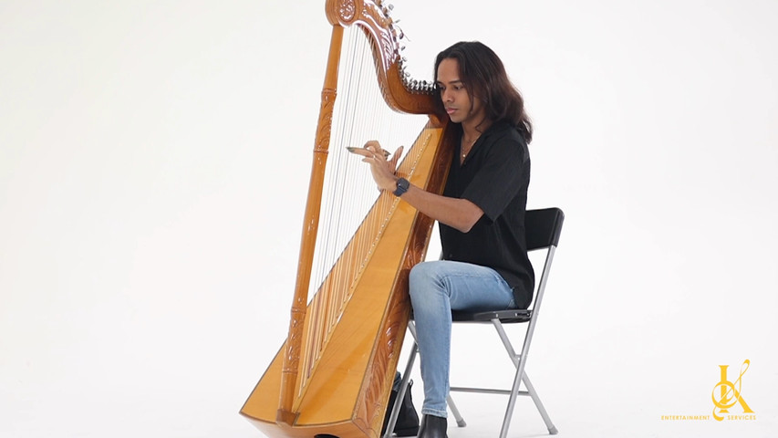 Harp soloist - Shallows