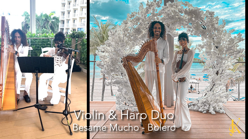 Violin & Harp Duo