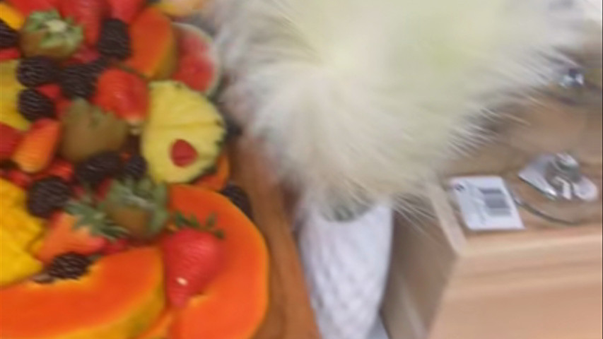 DAPHNEE’S kitchen