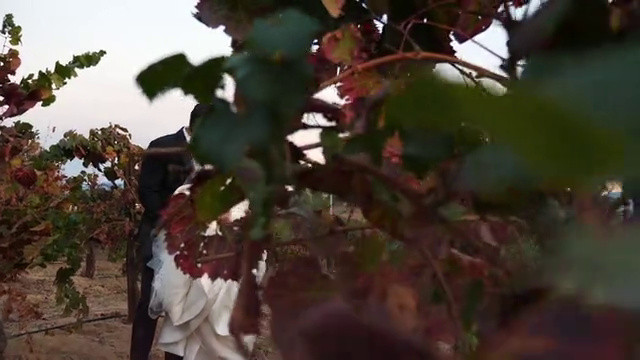S + C's beautiful wedding at monte de oro winery