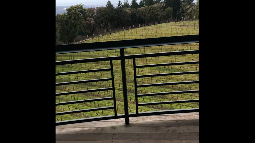 Thomas Fogarty Winery