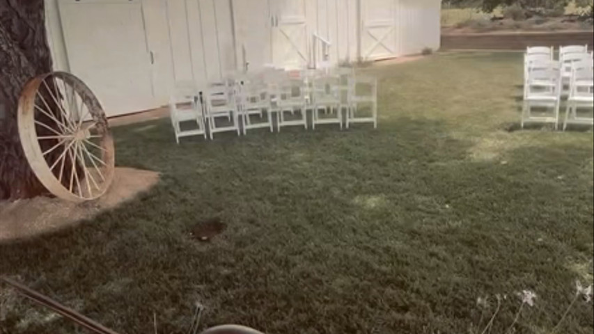 Diener-Brown Wedding 6.8.2024
