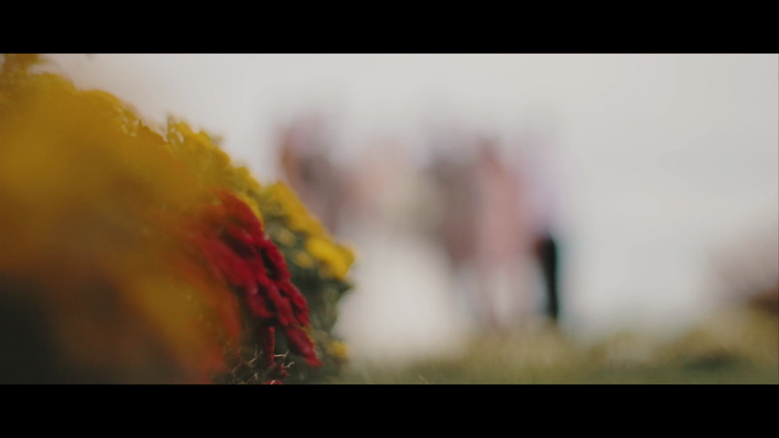 The Wedding of Alexandra  & Ryan Highlight Film