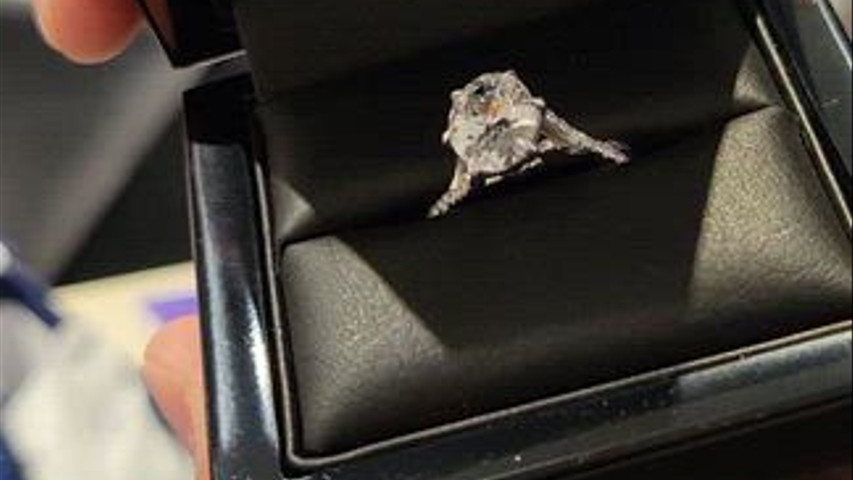 Bradley Cho's Custom Engagement Ring