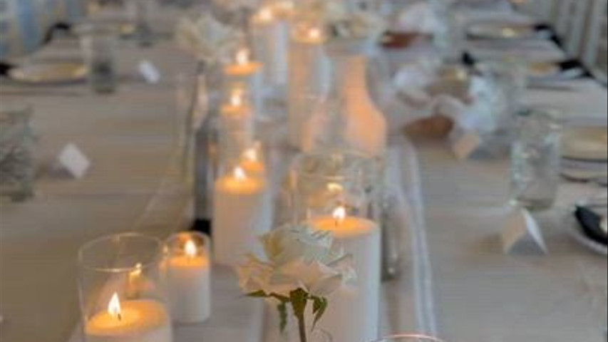 Wedding Reception