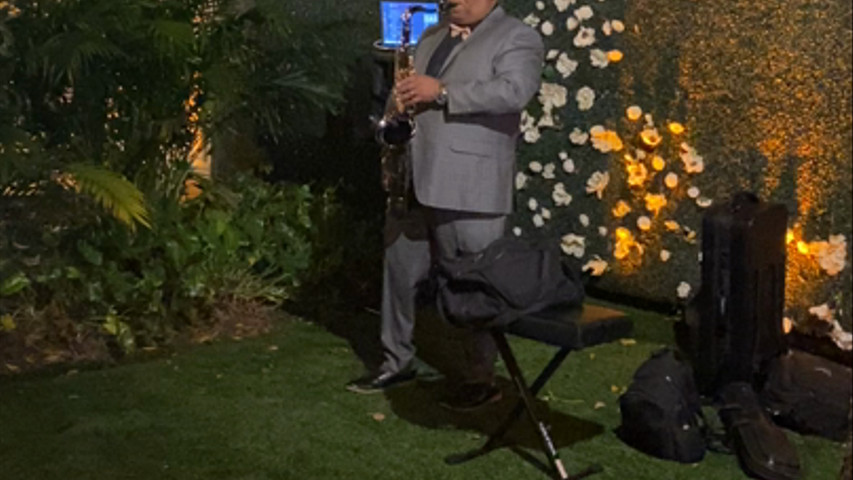 Live Musician