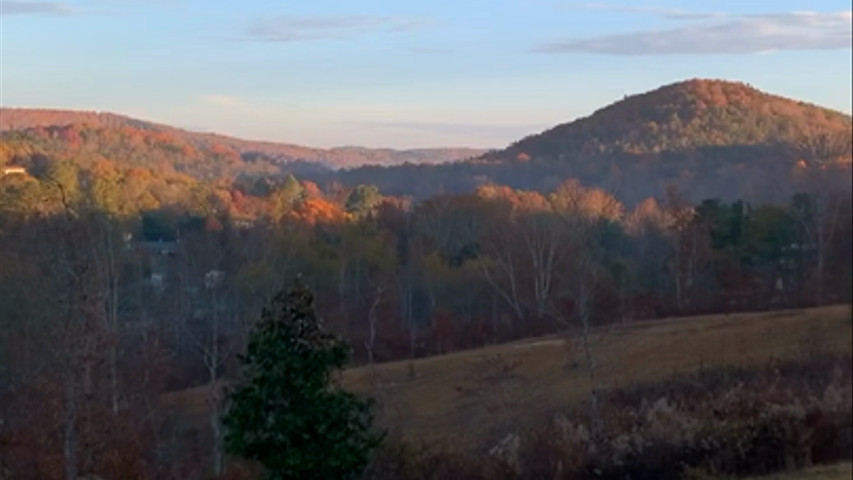 Back pasture views