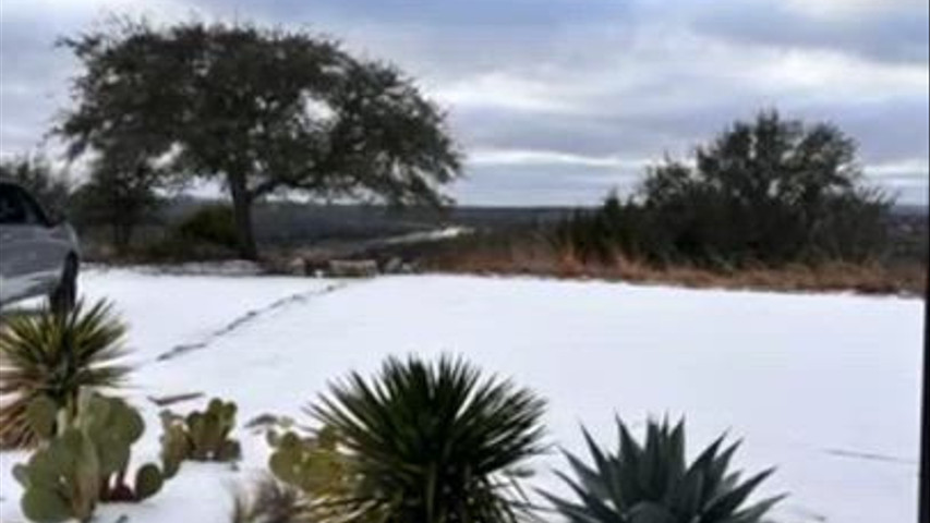 Saved by Onyx & Ice! 