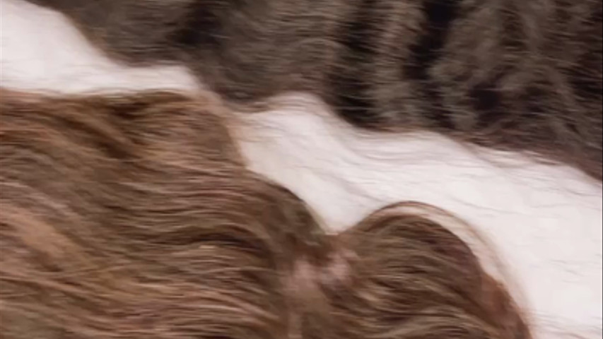Hair Extensions Available