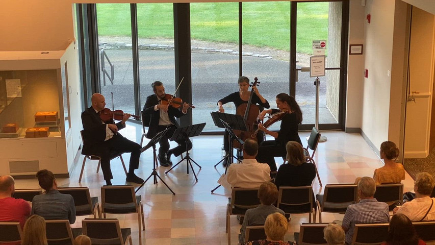 Wildest Dreams, string quartet