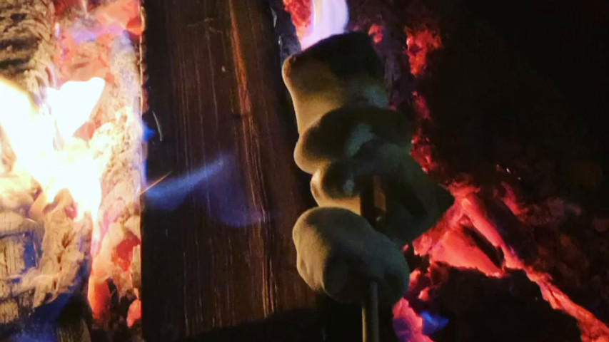 S'mores