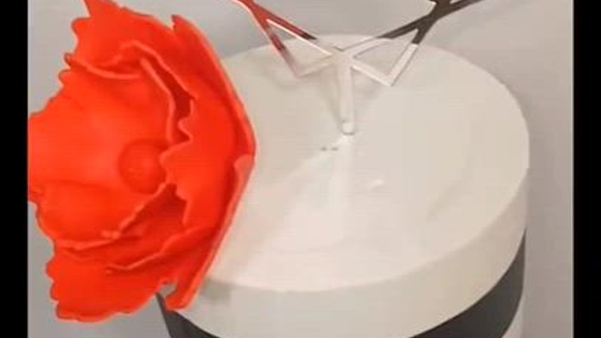 Bold & Beautiful Beauty-Inspired Celebration Cake