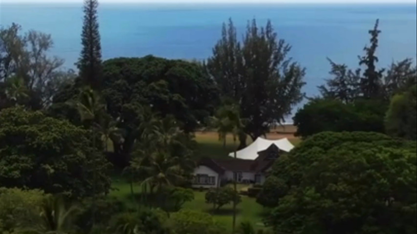 Ben and Dom's Kauai Wedding