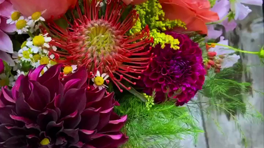 Late August Colorful Wedding 