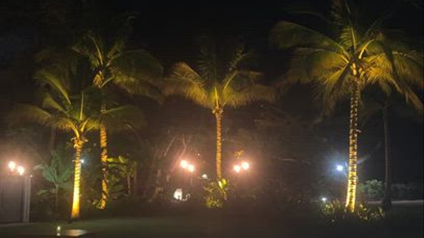 Venue Uplights