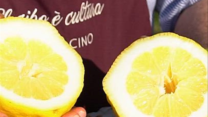 🍋 The colours of Procida, served at the table
