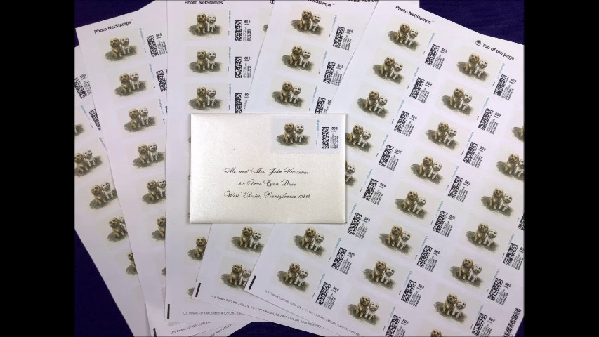 Custom Invitations