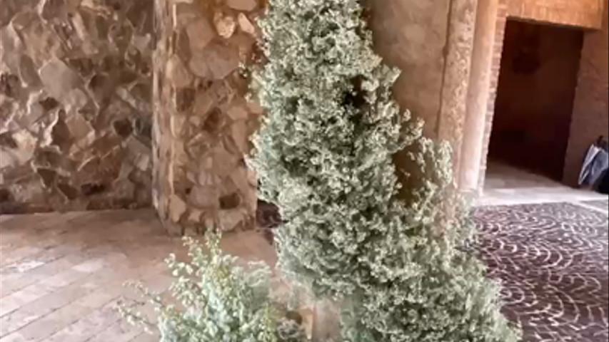 Bella Collina venue