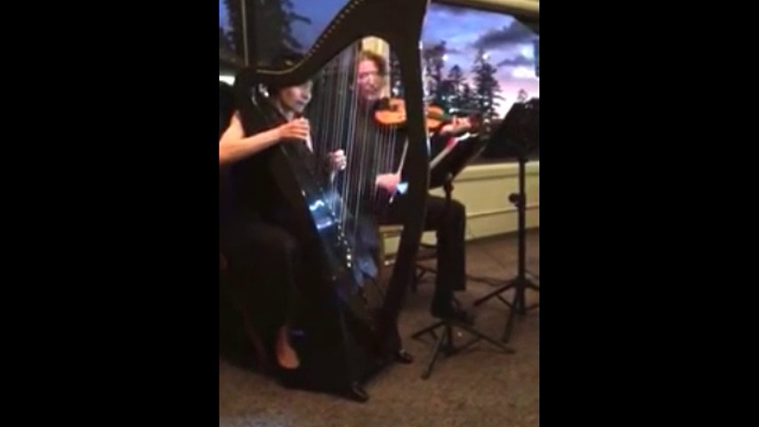 Despacito--Played on Celtic Harp and Fiddle!