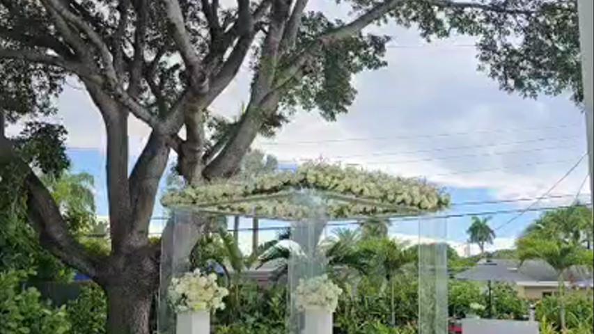 Flowers of the World | Signature Wedding Flowers for Miami & Beyond Elegant. Custom. Unforgettable.