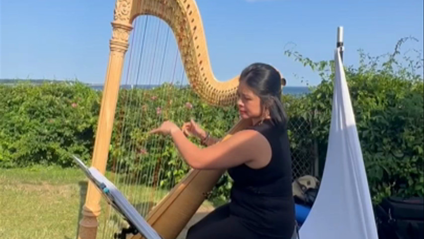 Wedding Harpist at Hammond Castle