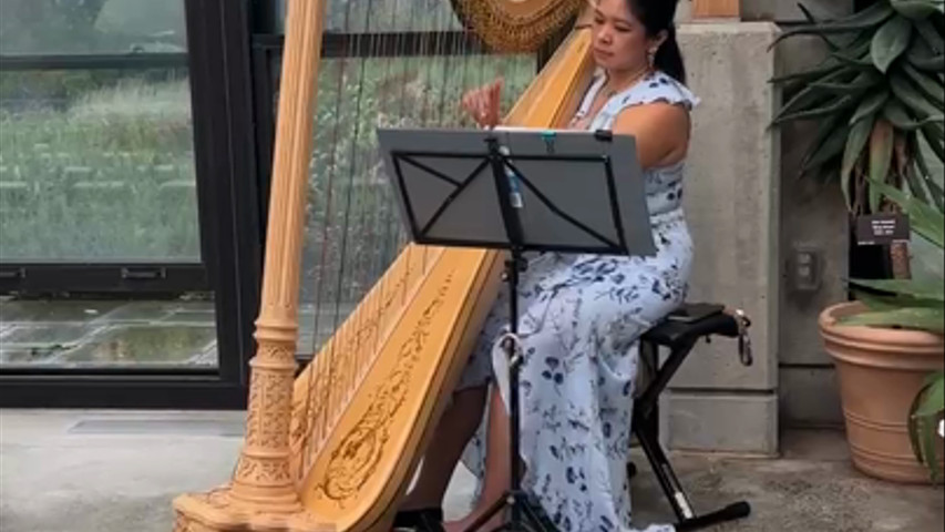 Wedding Harpist at New England Botanic Garden Tower Hill