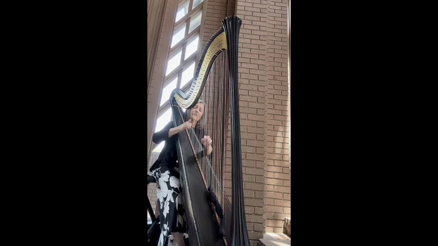 Wedding Demo