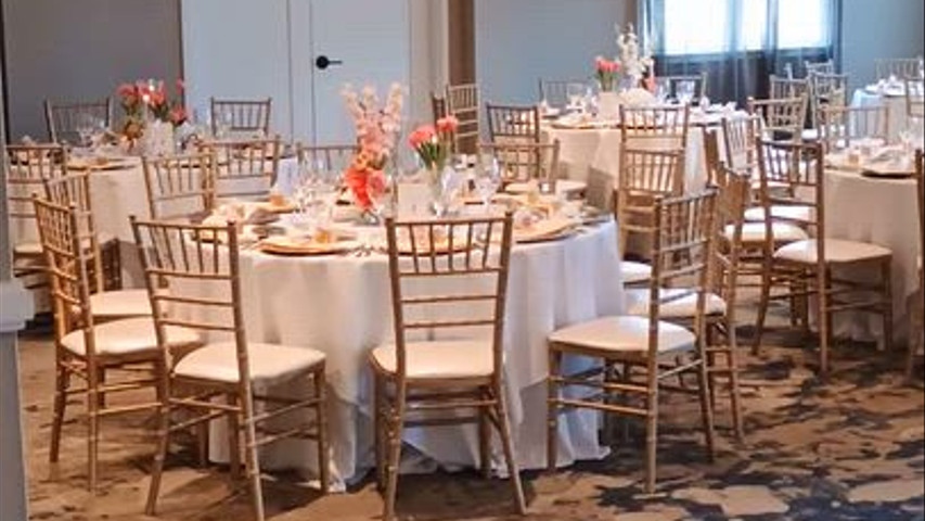 The Social Butterfly DIY Events