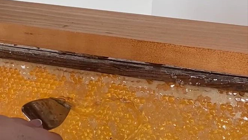 Our Specialty - 4 LB Honey Comb 