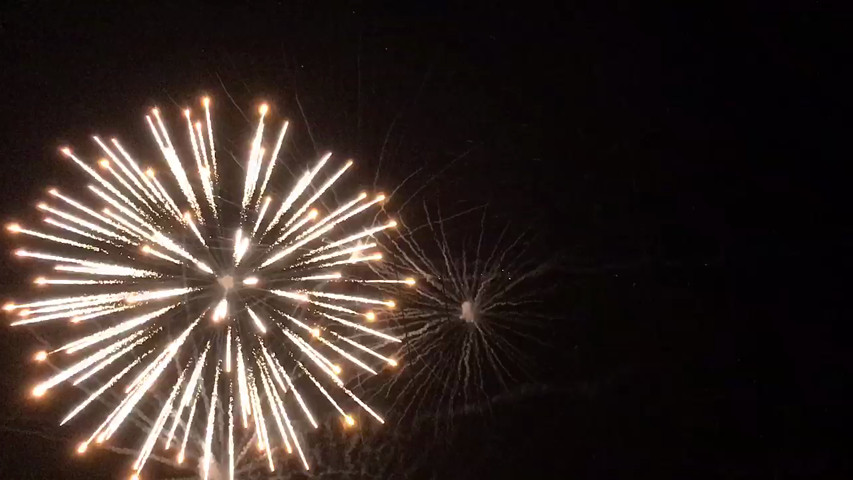 Francisco Display Fireworks
