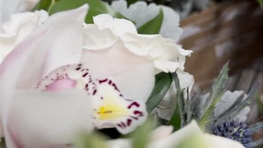 Wedding and Event Ceremony 