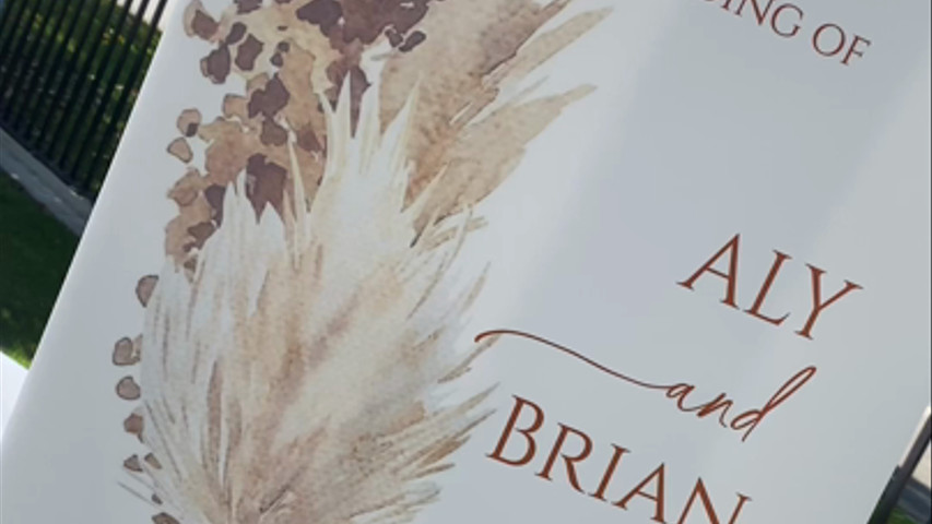 Aly and Brian Wedding Recap
