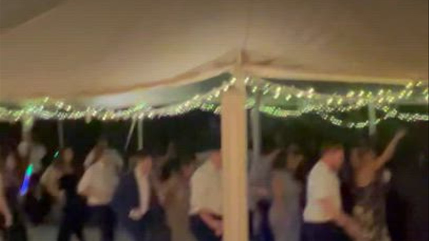Party Professionals