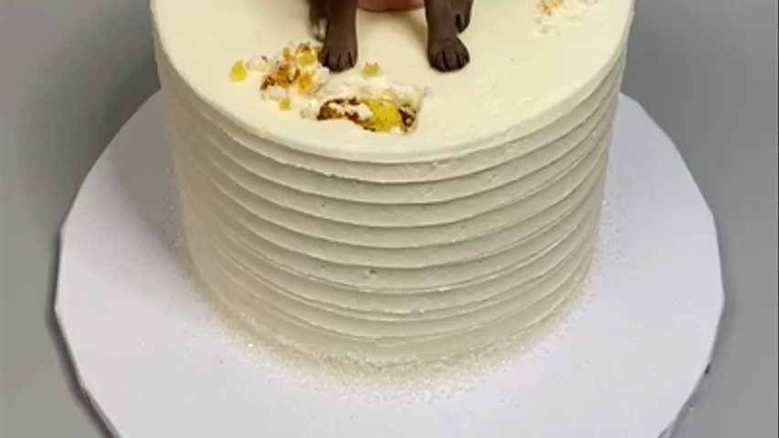 3d fondant figure