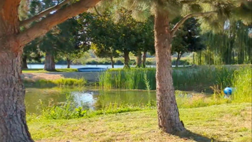 Your drive into Cool Water Events