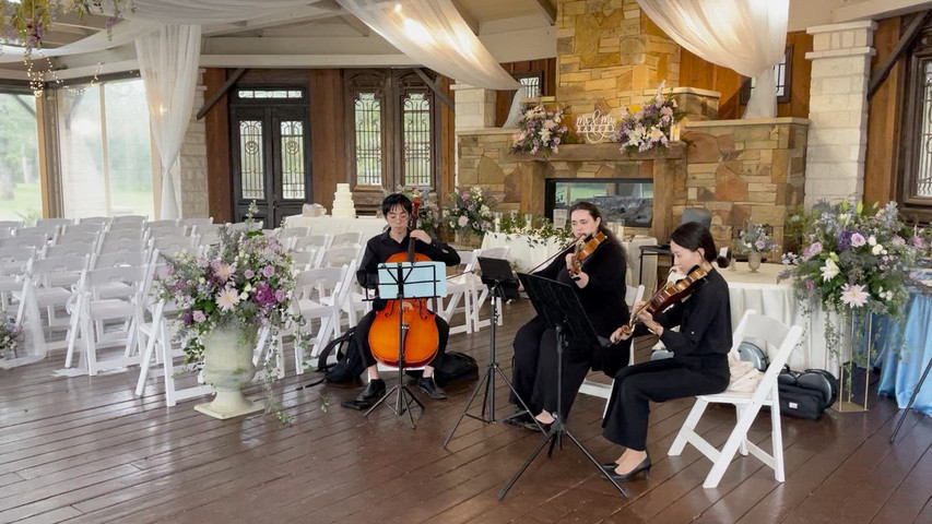 The Noble Strings_DFW