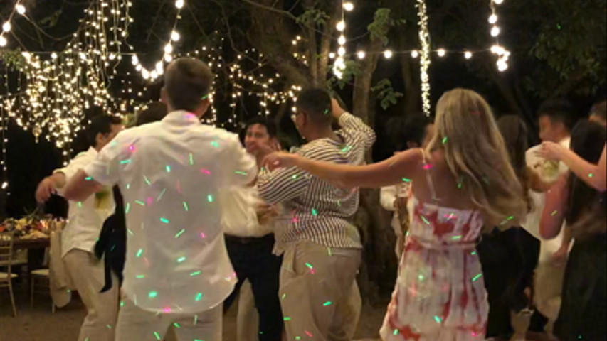 Davison Wedding at Dreams Las Mareas 