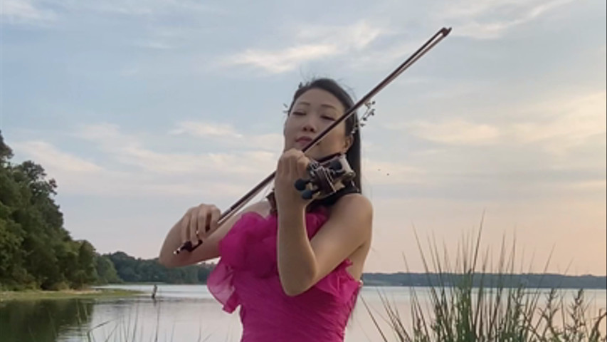 Classical acoustic violin/viola 
