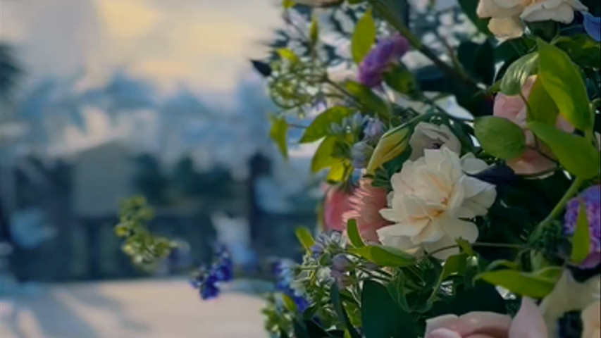 Wedding Snippet