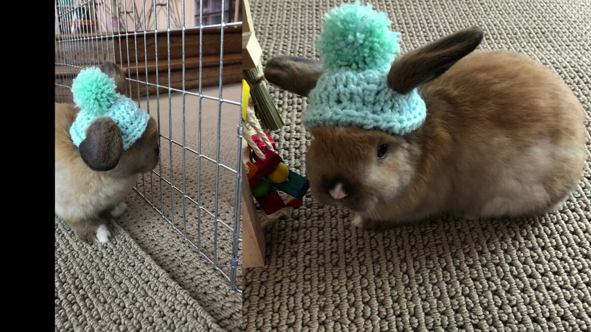 Chloe Bat Mitzvah Reception Song (Parody of "Flowers" by Miley Cyrus)