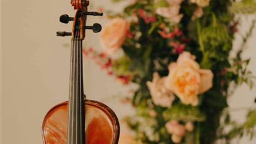 Thousand Years - Music for your Wedding / The Harp Violin