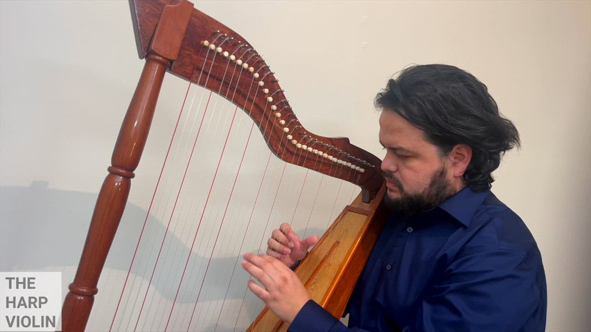 The Harp violin - Solo Harp Music for your event