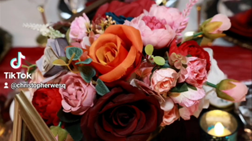 video 1