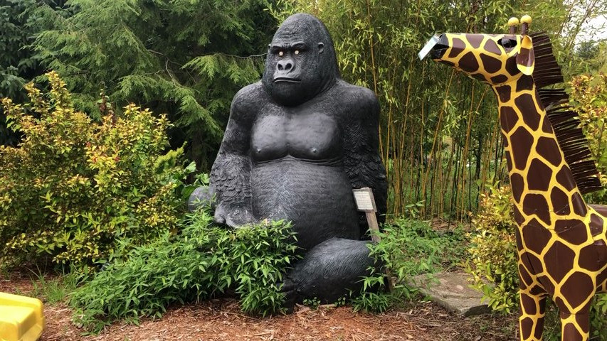 Tor the Gorilla