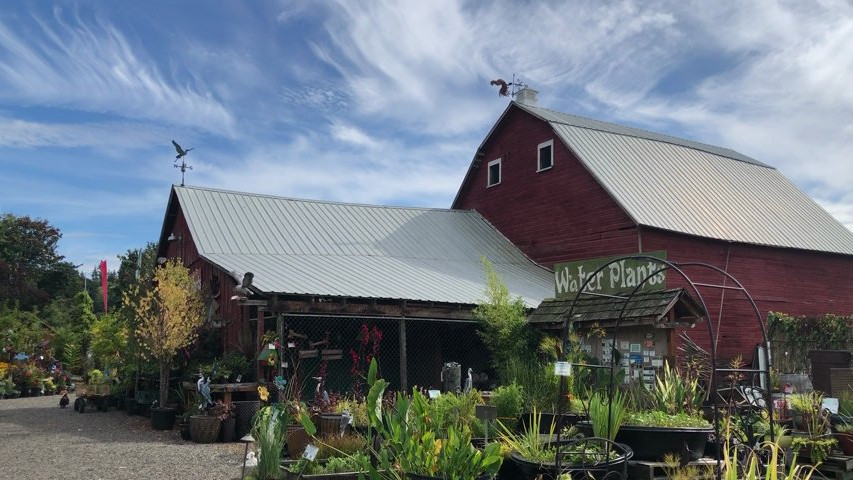 The Old Red Barn