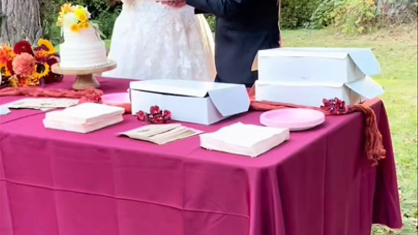 Seattle park wedding 