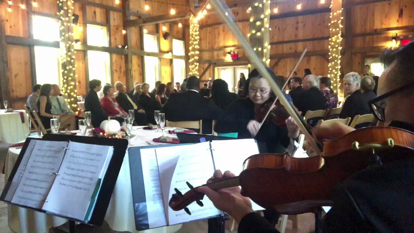 Europe - cover for string quartet