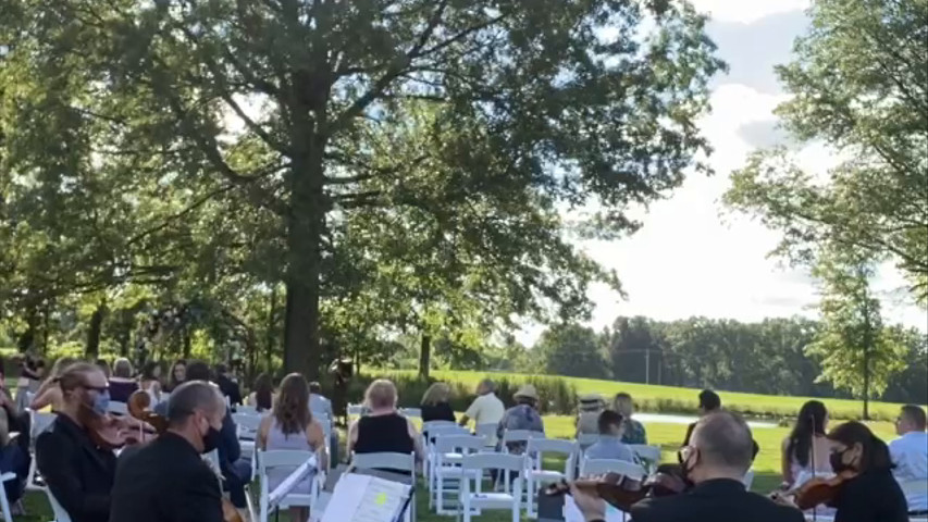 String Quartet Canon in D